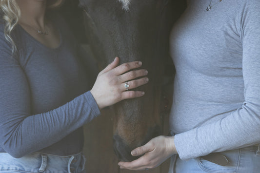 Discover the Magic of Pegasus Jewellery: Your Trusted Companion for Equine Elegance