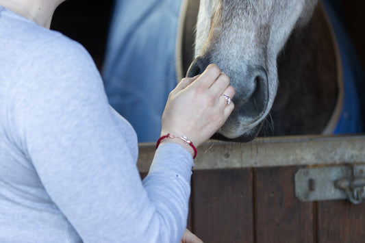 Celebrate April Birthdays in Style with Equestrian Jewellery