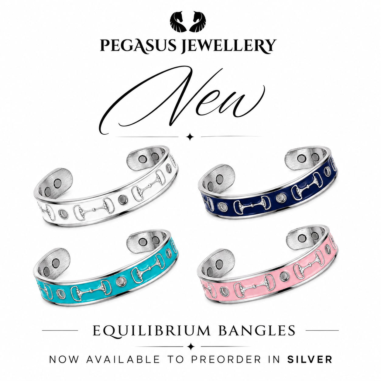 PREORDER Pegasus Equilibrium Vitality Bit Bangle- Silver - PEGASUS JEWELLERY
