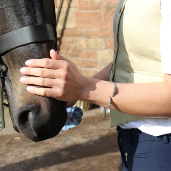 Equestrian Horses Head Torque BangleBanglePEGASUS JEWELLERY