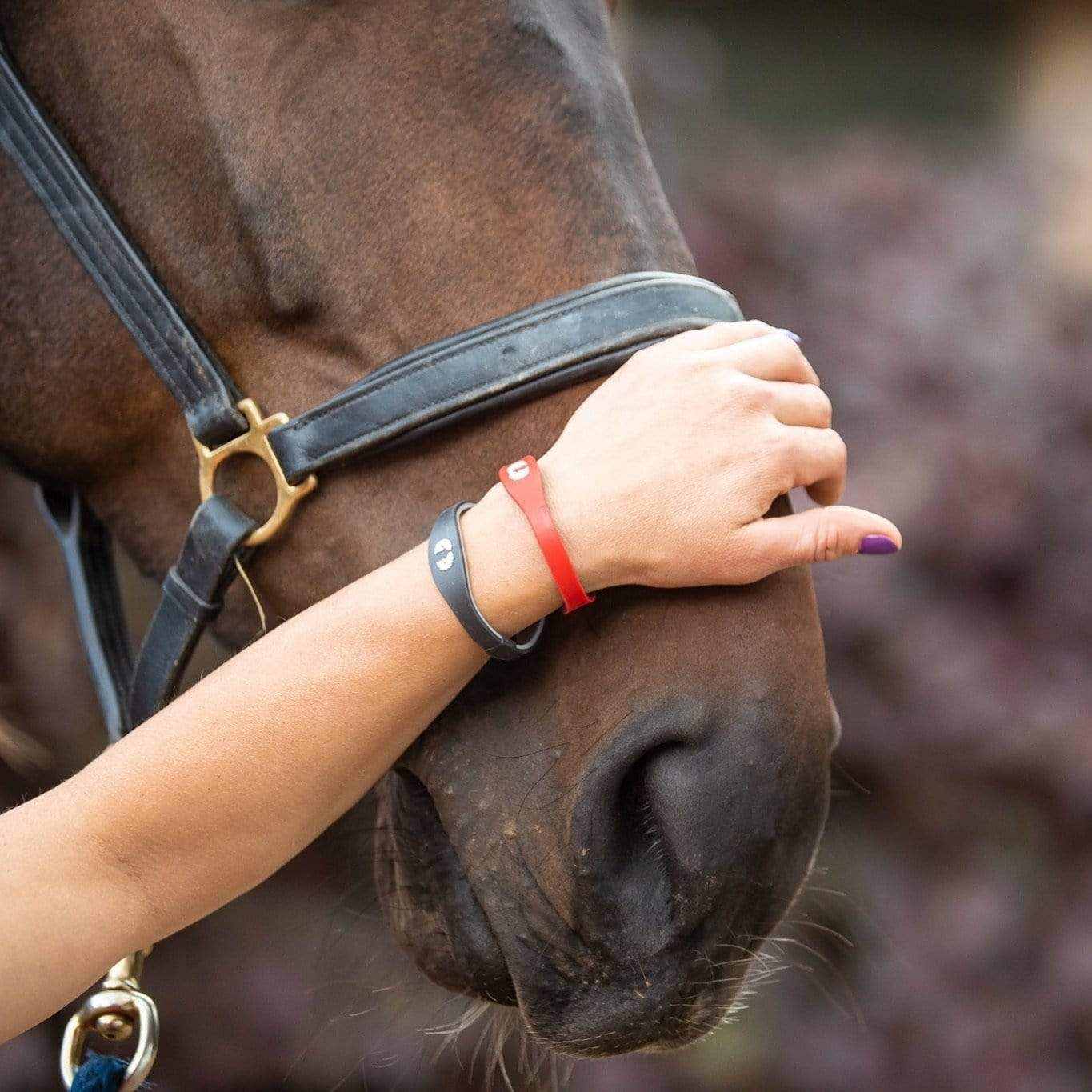 PEGASUS JEWELLERY Vitality Bracelets Vitality Boost Bracelet- Red