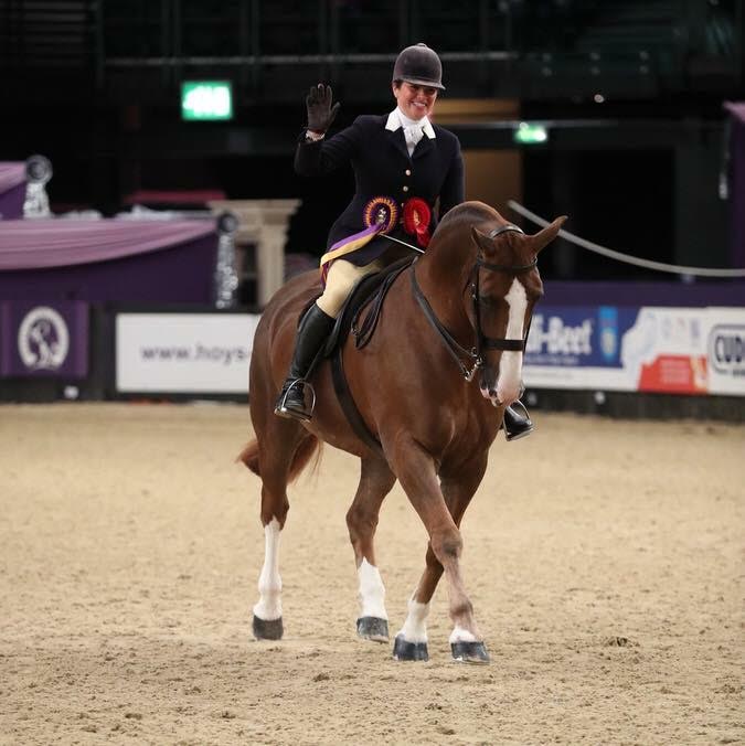 vicky smith showing at HOYS 2018