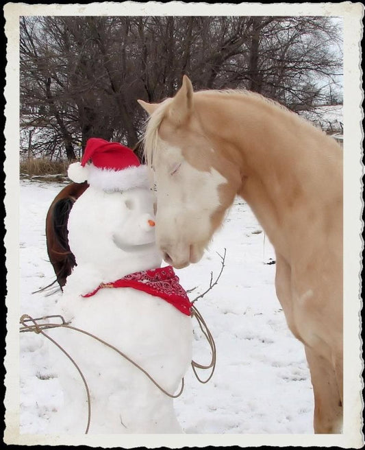Christmas Gift Ideas for the Horse Lover