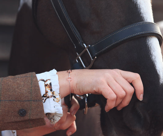 A guide to caring for your Pegasus Equestrian Jewellery.