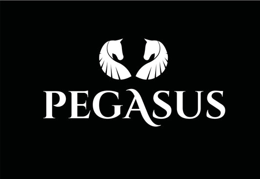 Pegasus Jewellery: Our Story.
