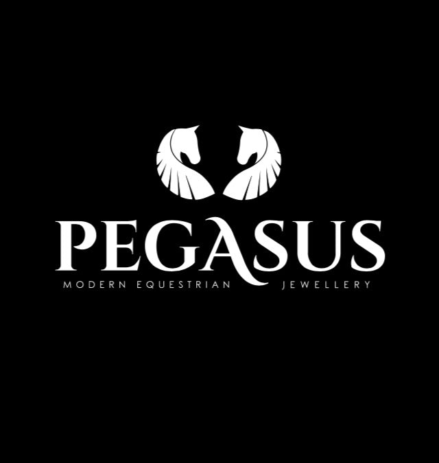 A Glimpse into Pegasus Jewellery: Our Story, Values, and Mission