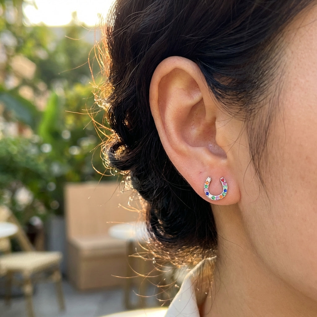 Rainbow Horseshoe Earrings - PEGASUS JEWELLERY