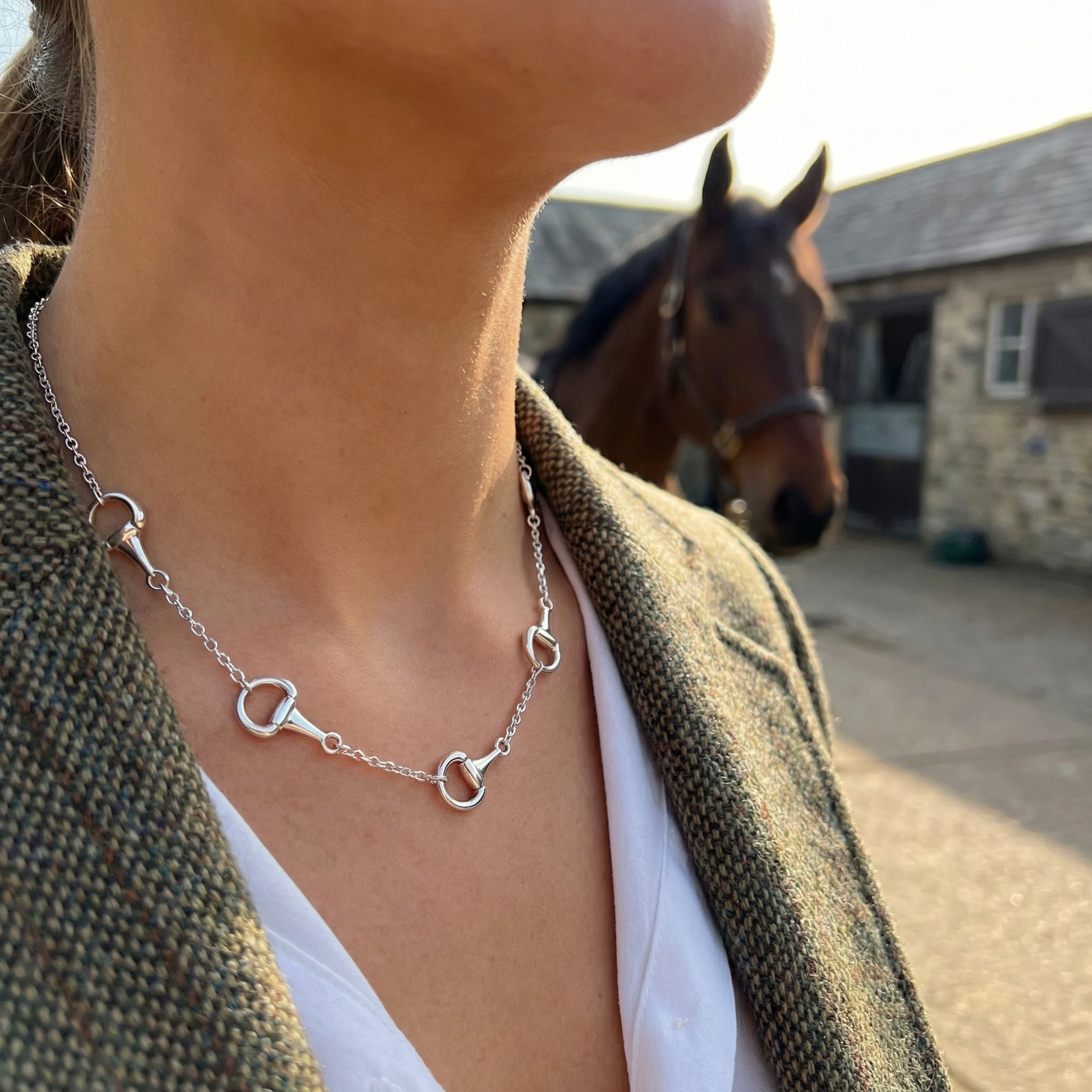 Silver Snaffle Collar Necklace - PEGASUS JEWELLERY