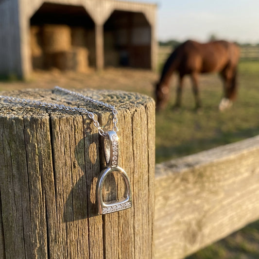 Luxury Stirrup Necklace- Silver