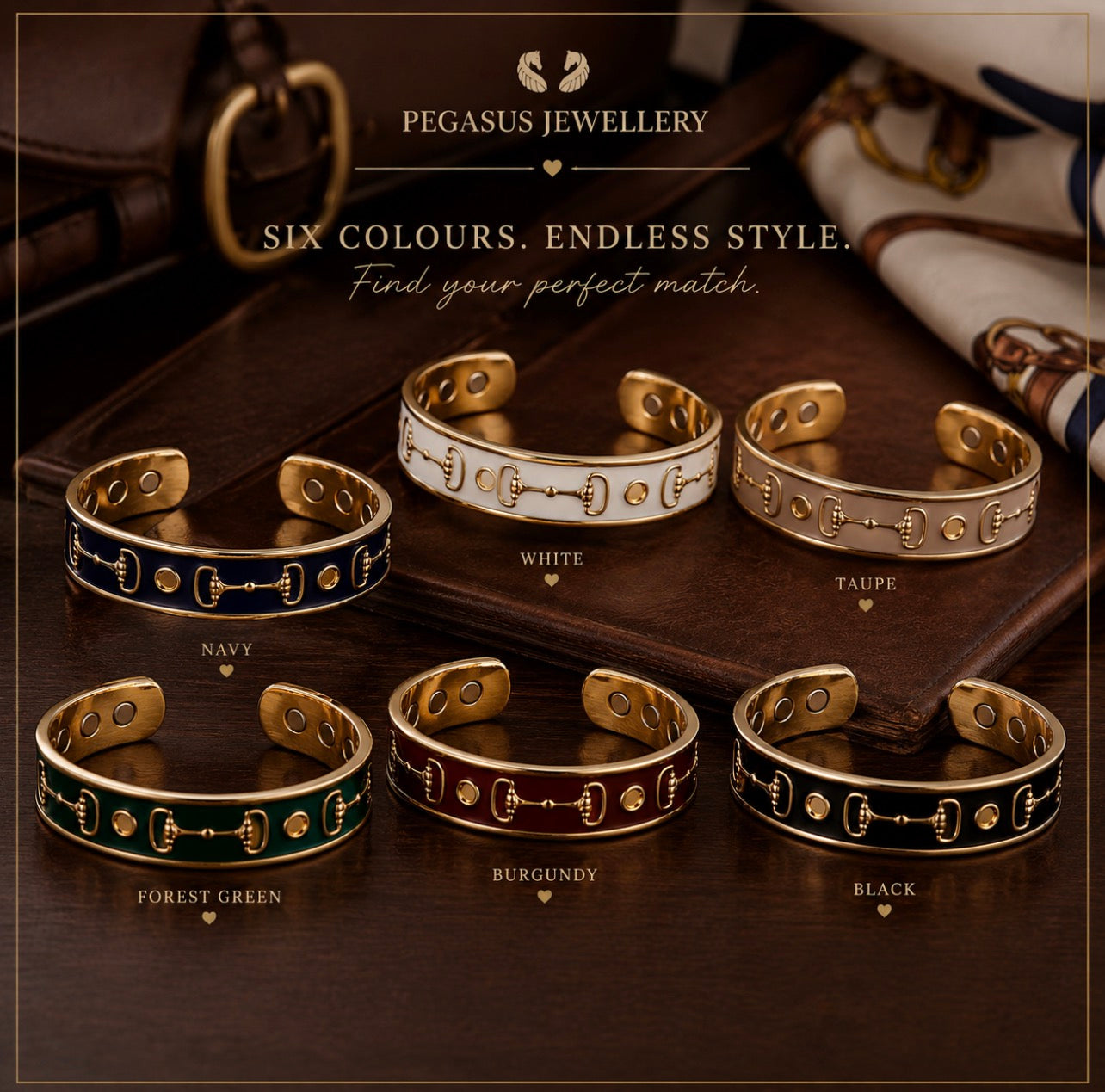 Pegasus Equilibrium Vitality Bit Bangle - PEGASUS JEWELLERY