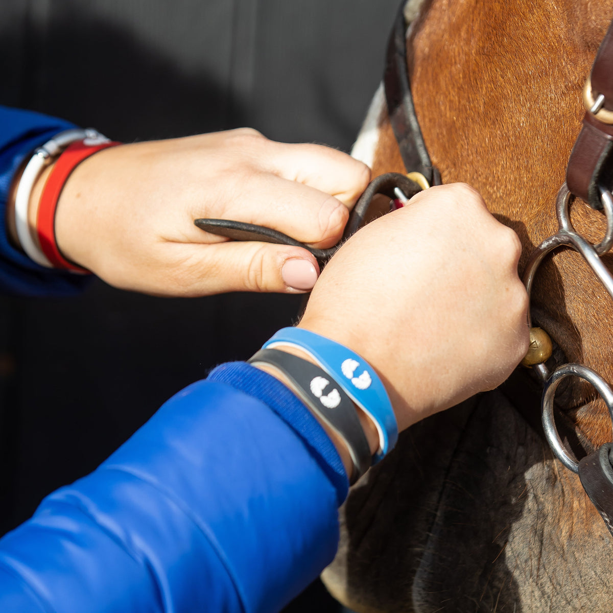 Vitality Boost Bracelet- All Colours - PEGASUS JEWELLERY