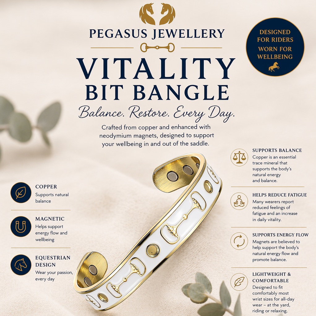 Pegasus Equilibrium Vitality Bit Bangle