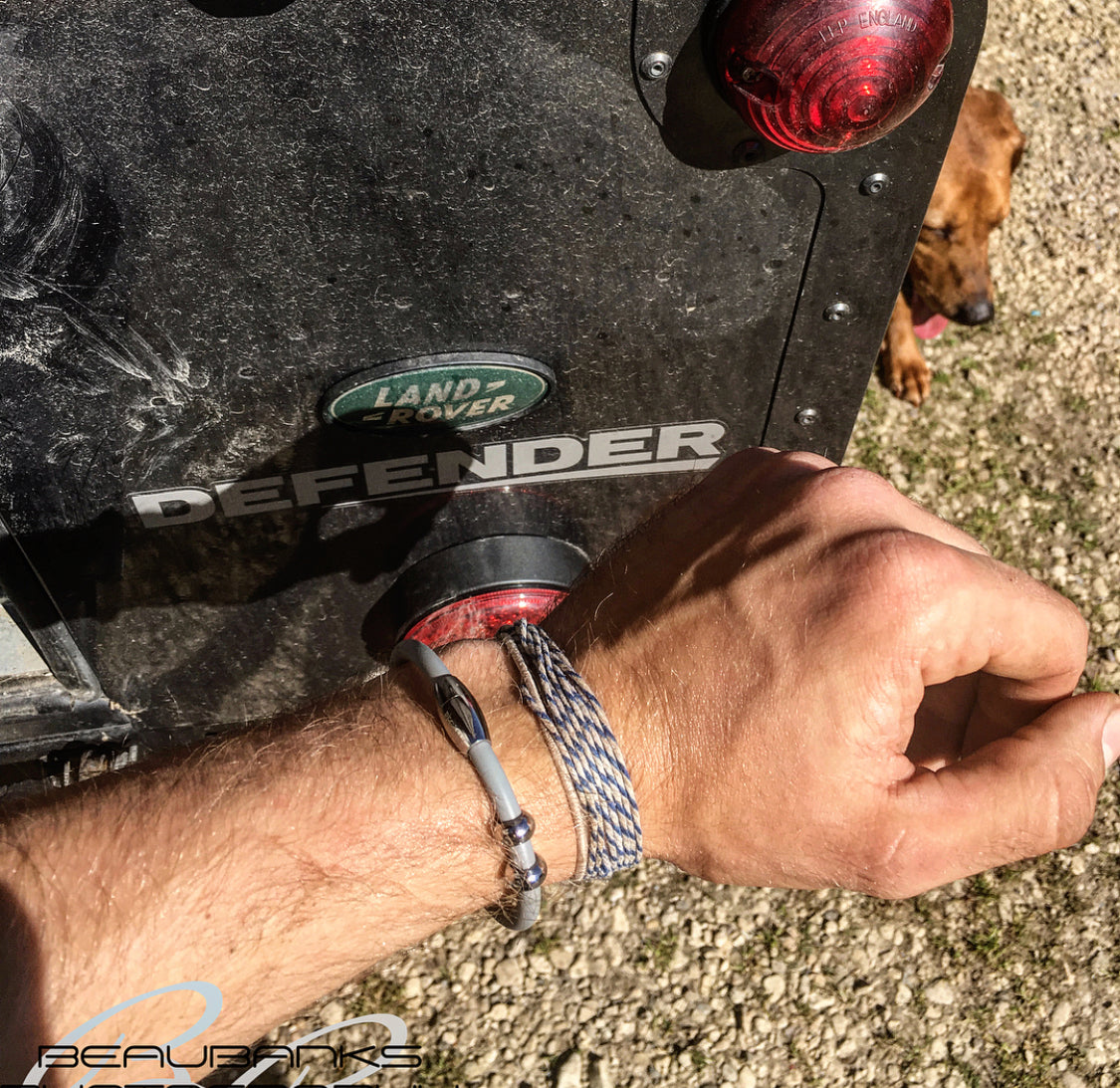 Pegasus Titanium Vitality Bracelet - All Colours