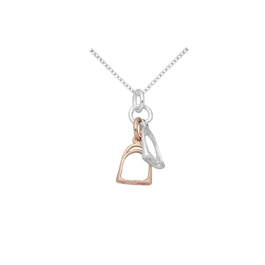 Double Rose & Silver Stirrup Necklace