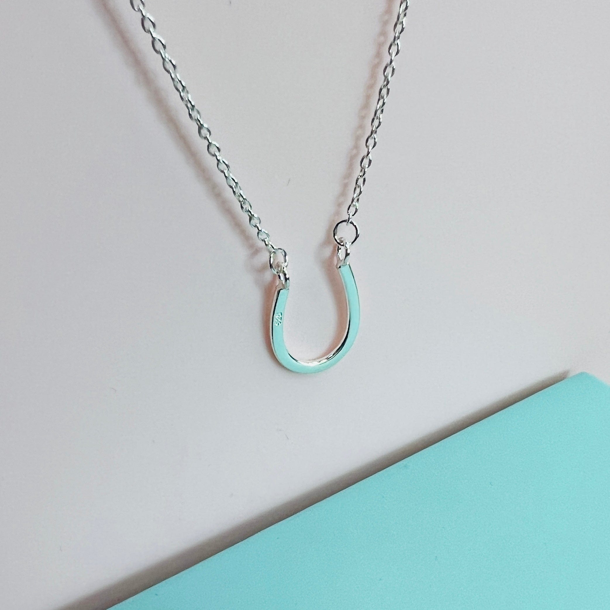 Silver deals horseshoe necklace